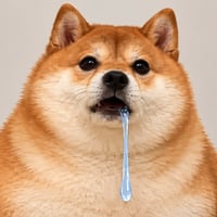 SI
