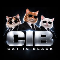 Cats In Black