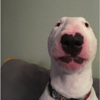 WALTER