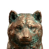 copper inu