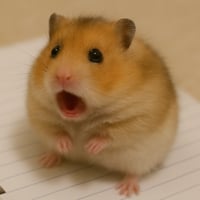 HAM