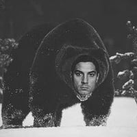 The Black Bear