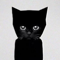 Bro The Cat