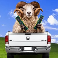 Ram in Ram wif Ram
