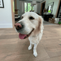 FINN
