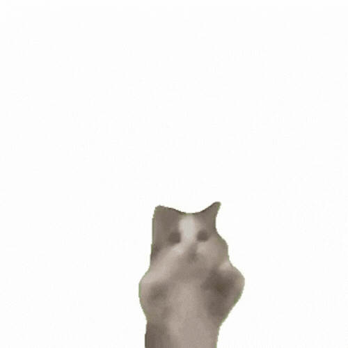 happi cat