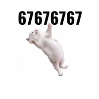 67cat logo