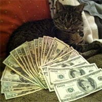 Ca$hcats