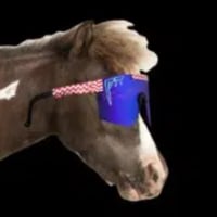 Flying Ketamine Horse