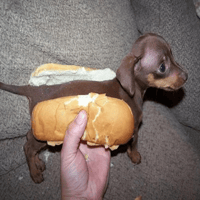 TEENY