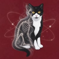 ΨCAT logo