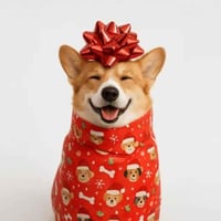 Wrapped Christmas Dog 