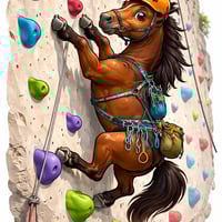 The rock climber horse