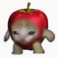 Apple Cat
