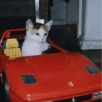 no risk no rari logo
