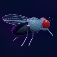 STONKFLY