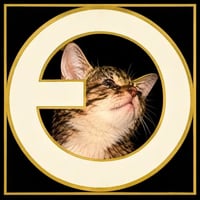niocetaC