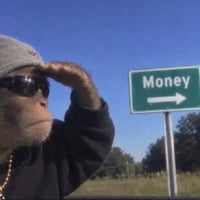 MONEYMONKEY logo