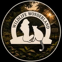 Wildlife Wonderland