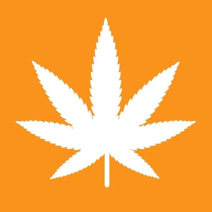 21nnfR4TkbZNLwvRrqEseAbz7P3kxKjaV7KuboLJpump