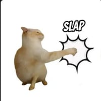 Slap Cat