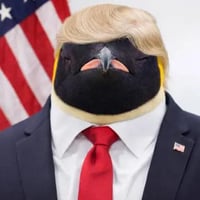 Penguin of the United States