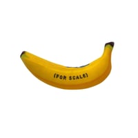 SpaceX Starship Flight 6 Banana