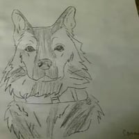 The Anti-Ai Dog