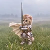 knightcat