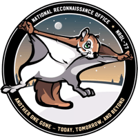 SpaceX Squirrel