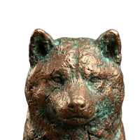 copper inu