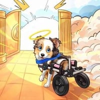 Rest in peace Teigan