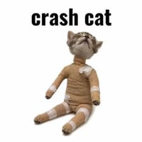 Crash Cat