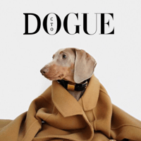 Dogue