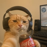coolcat