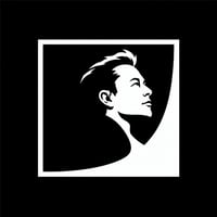 Elon Accelerationism