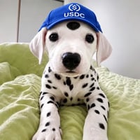 SPOT logo