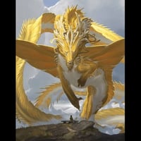 金龙