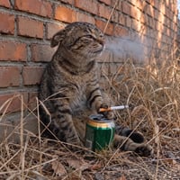 depcat logo