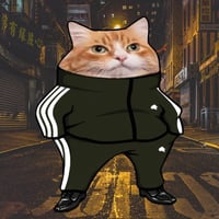 SCAT