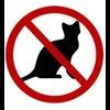 NOTCAT