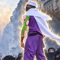 PICCOLO logo