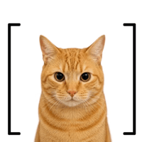 [cat]