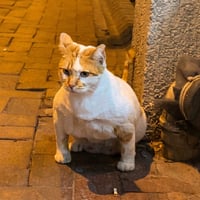 Logo de Gigacat