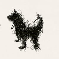 Scribblification logo