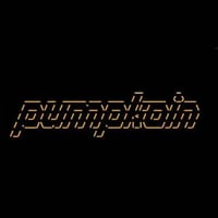 pumpkoin logo
