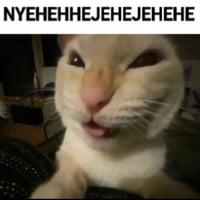 NYEHEHHEJEHEJEHEHE