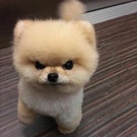 teeny