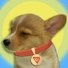 SUNPUP