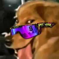 SENDOG logo